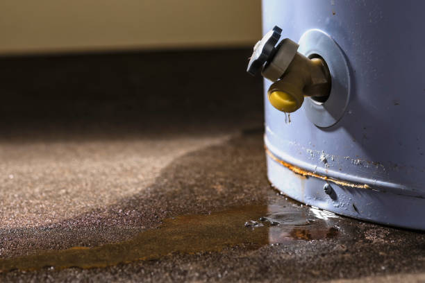 Best 24/7 water damage repair  in Auxvasse, MO