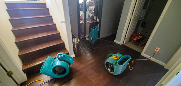 Best Mold removal after water damage  in Auxvasse, MO