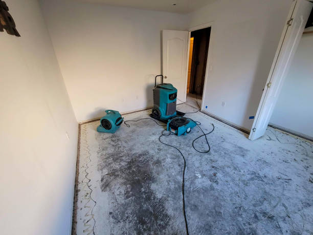 Best 24-hour water damage restoration  in Auxvasse, MO