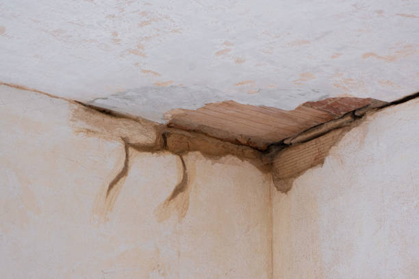 Best Carpet water damage restoration  in Auxvasse, MO