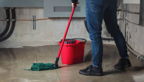 Best Fire Damage Restoration  in Auxvasse, MO