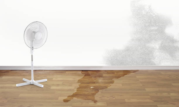 Reliable Auxvasse, MO Water damage restoration Solutions