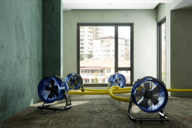 Best Emergency water damage restoration  in Auxvasse, MO