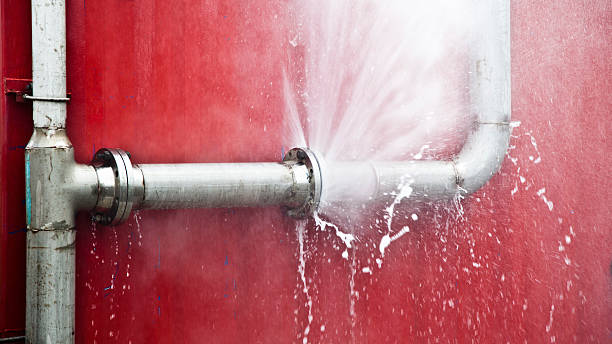 Best Local water damage restoration  in Auxvasse, MO