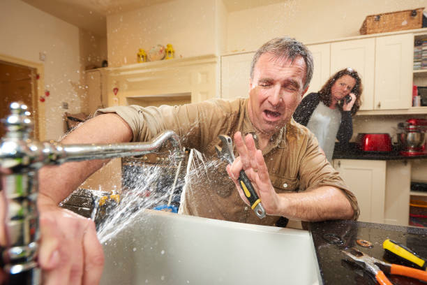 Best Flood damage cleanup  in Auxvasse, MO